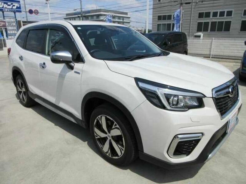 FORESTER