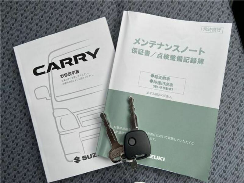 CARRY TRUCK