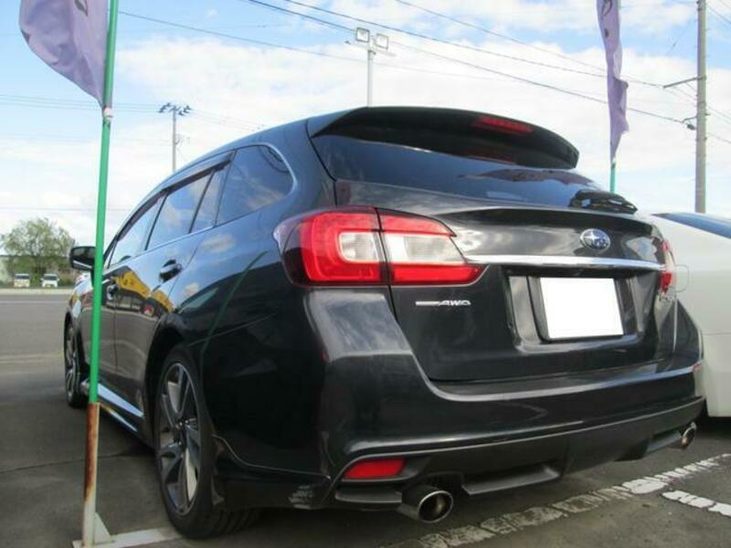 LEVORG