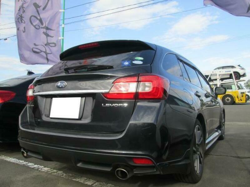 LEVORG