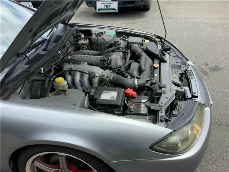 SILVIA