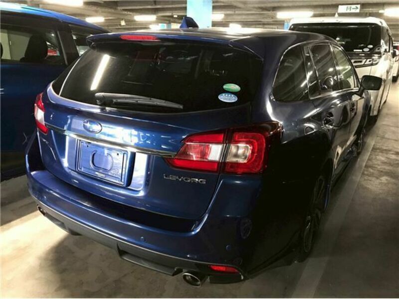 LEVORG
