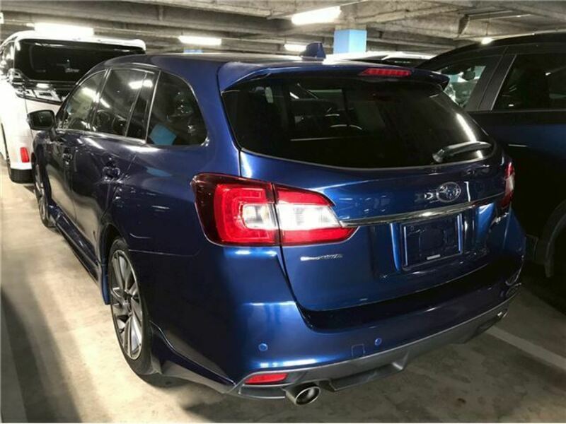 LEVORG