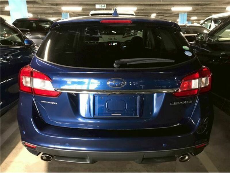 LEVORG