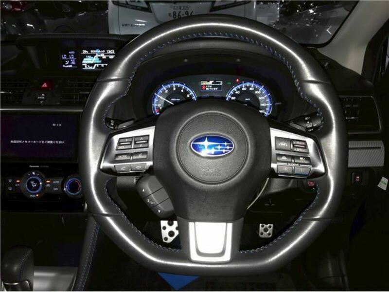 LEVORG