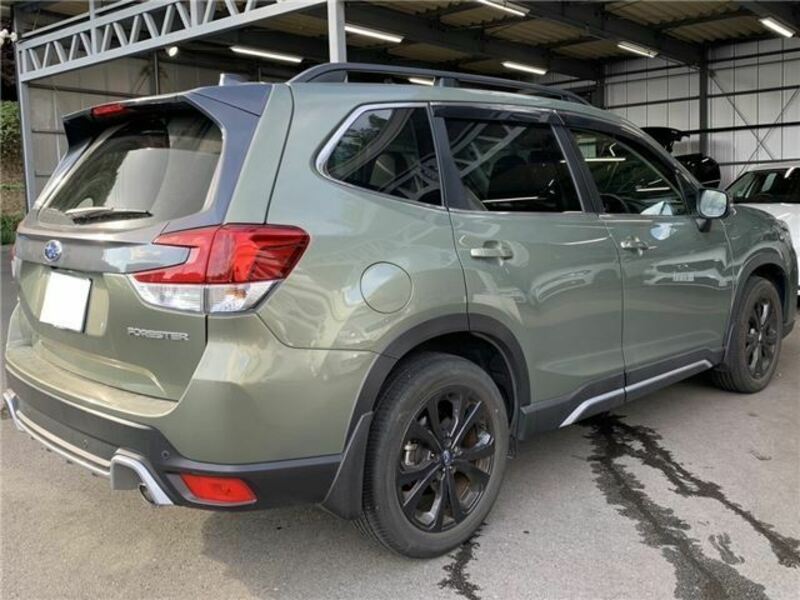 FORESTER