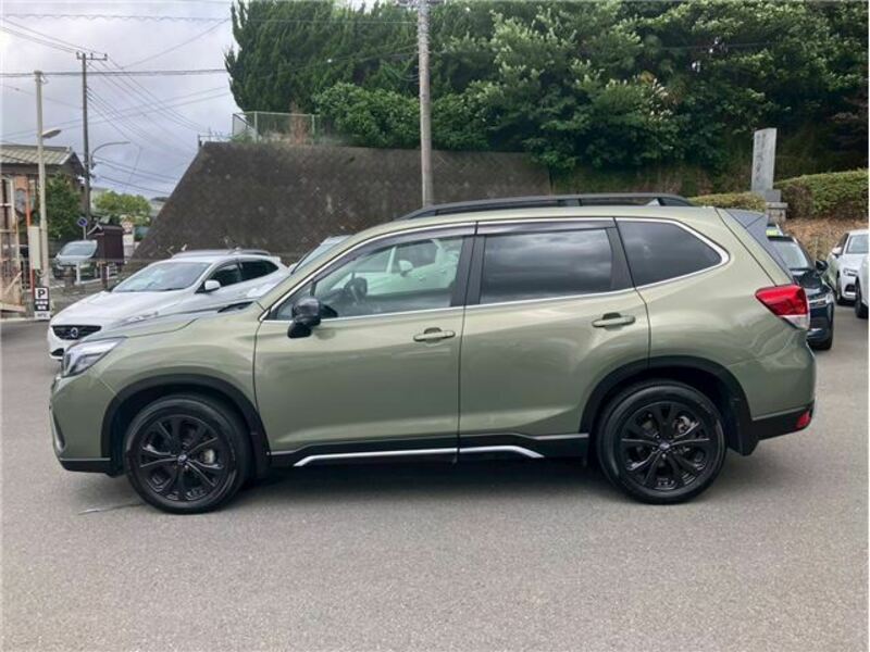 FORESTER