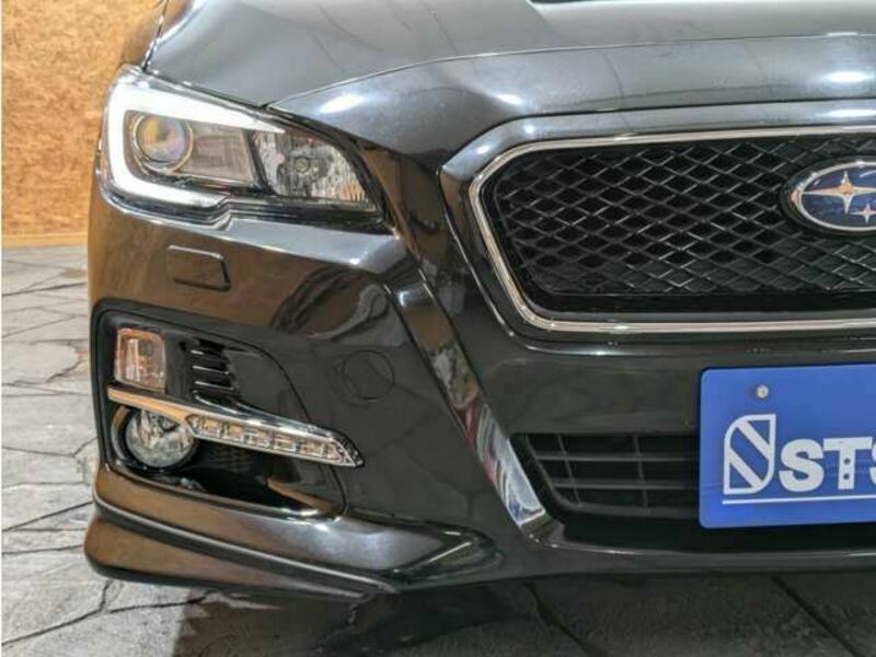 LEVORG
