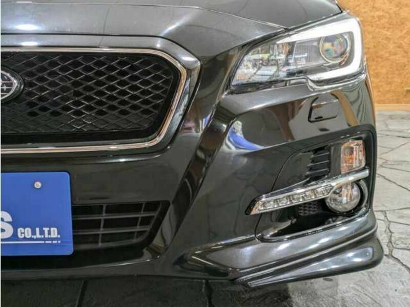 LEVORG