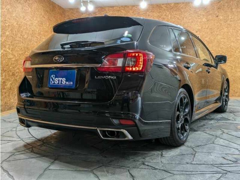 LEVORG