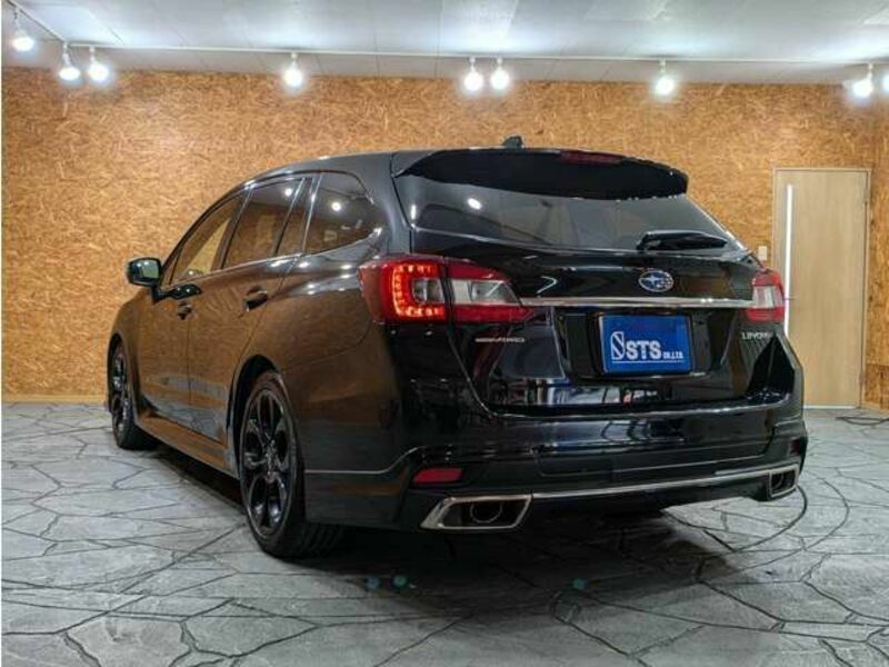 LEVORG