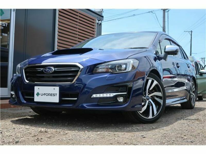 LEVORG-0