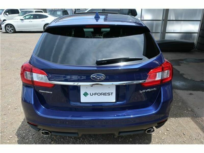 LEVORG