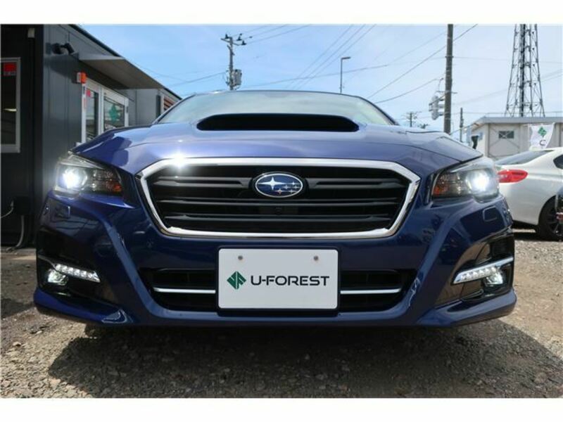 LEVORG