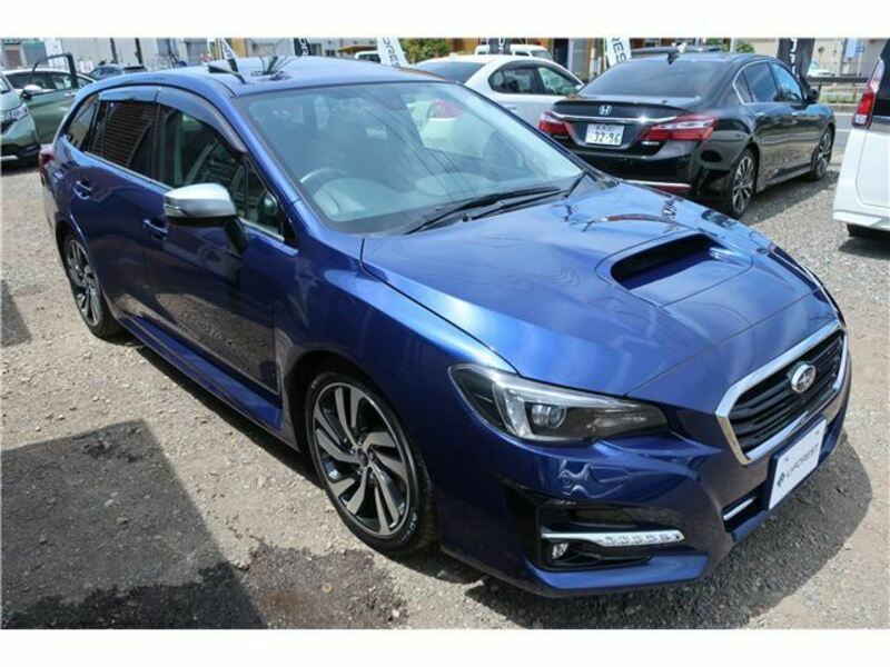 LEVORG