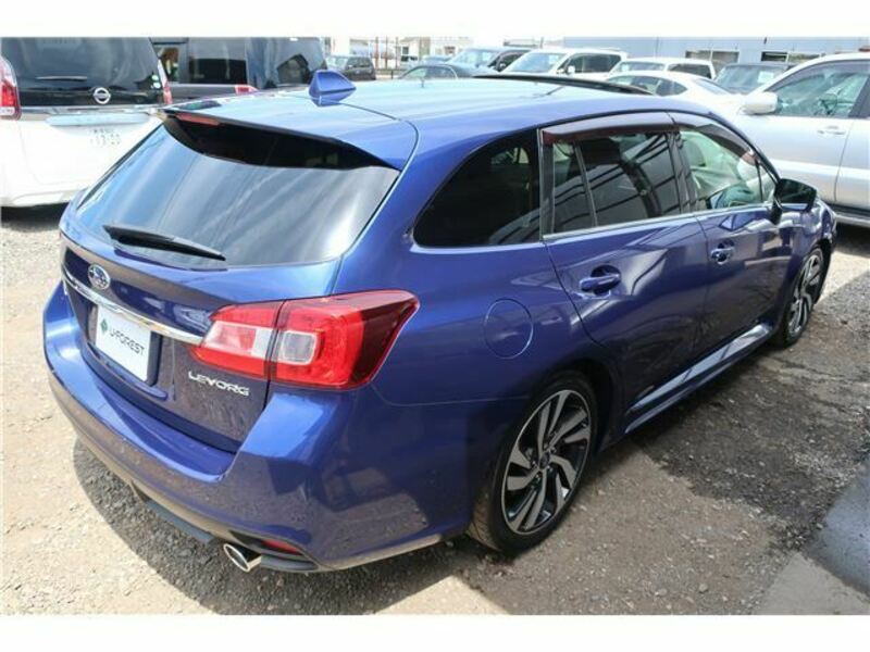 LEVORG