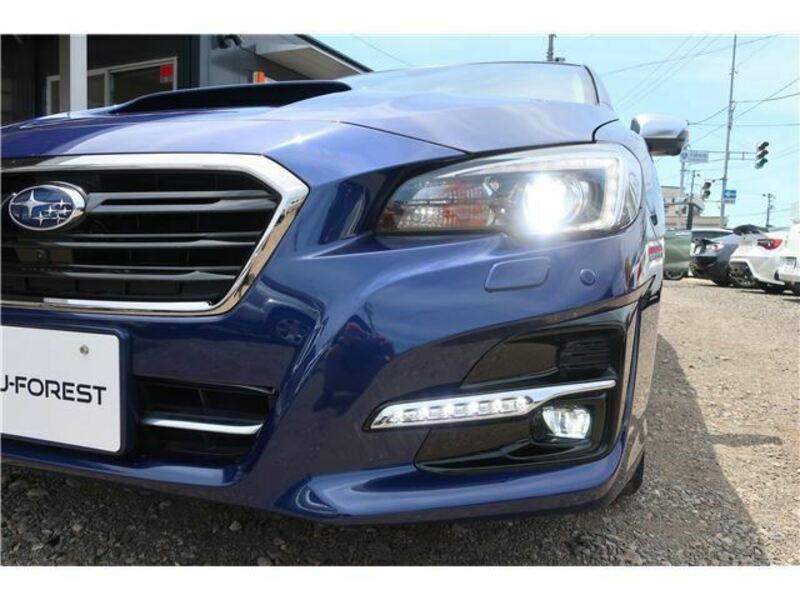 LEVORG