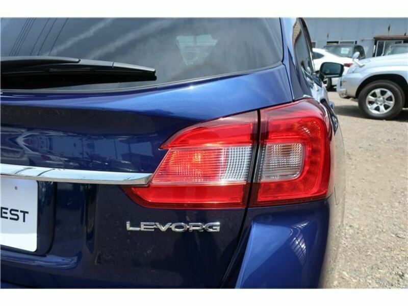 LEVORG