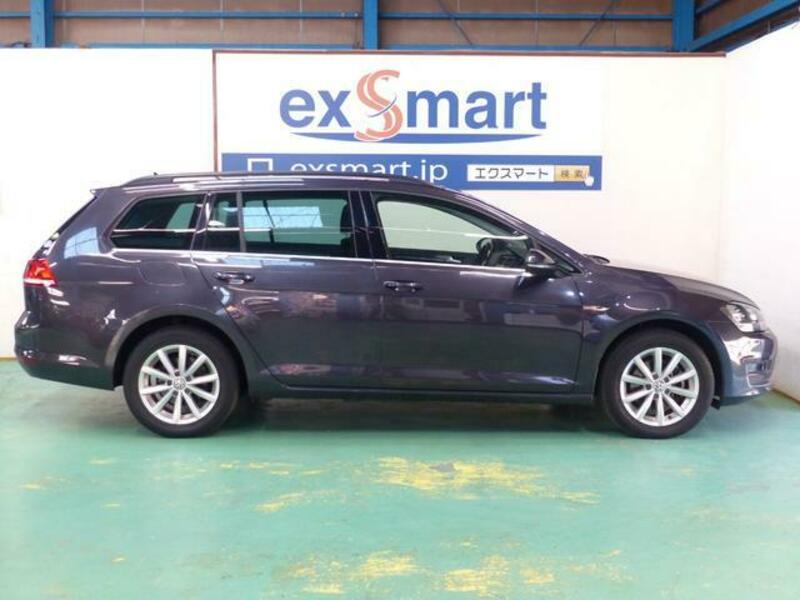 GOLF VARIANT