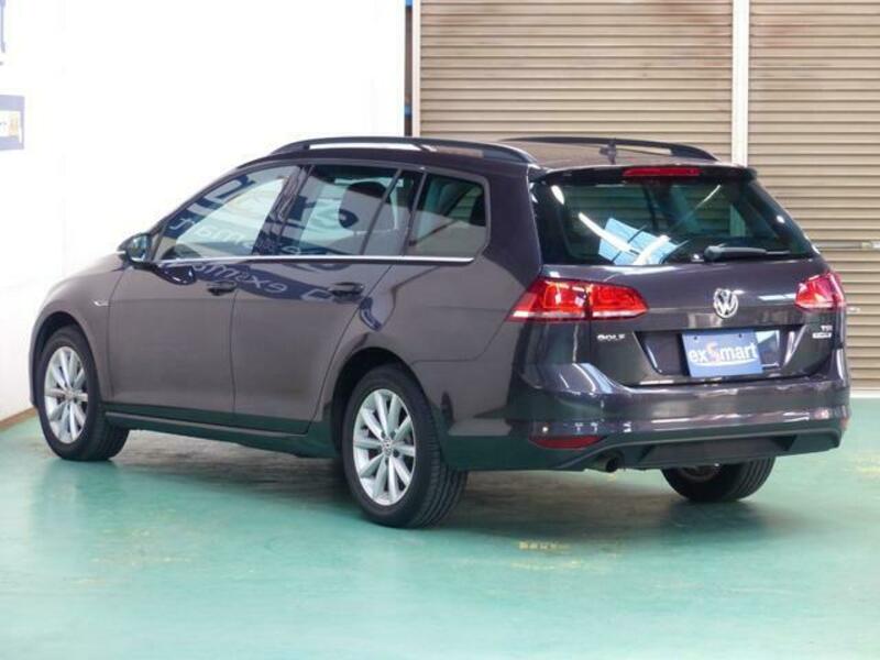 GOLF VARIANT