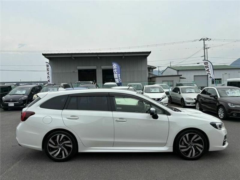 LEVORG