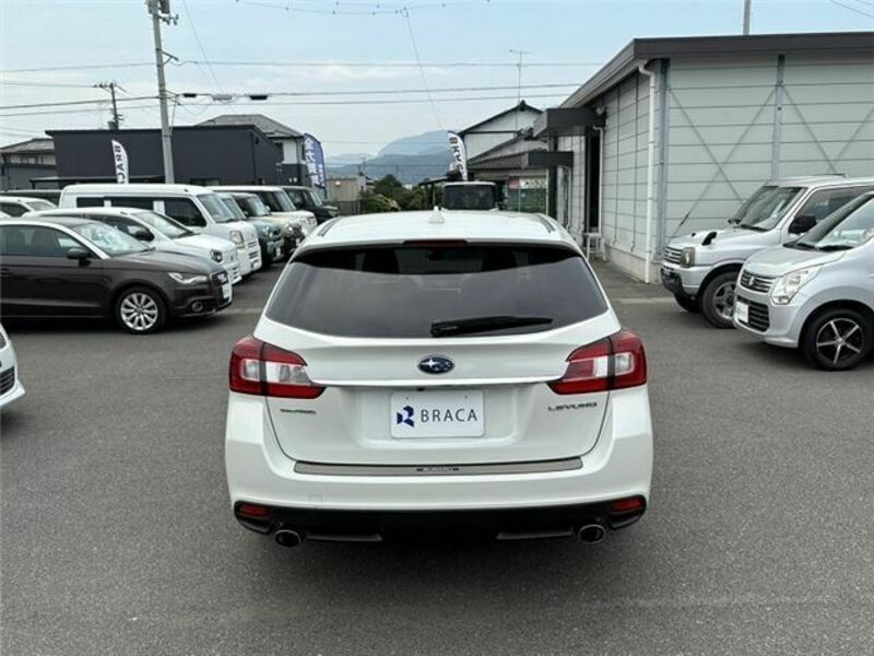 LEVORG