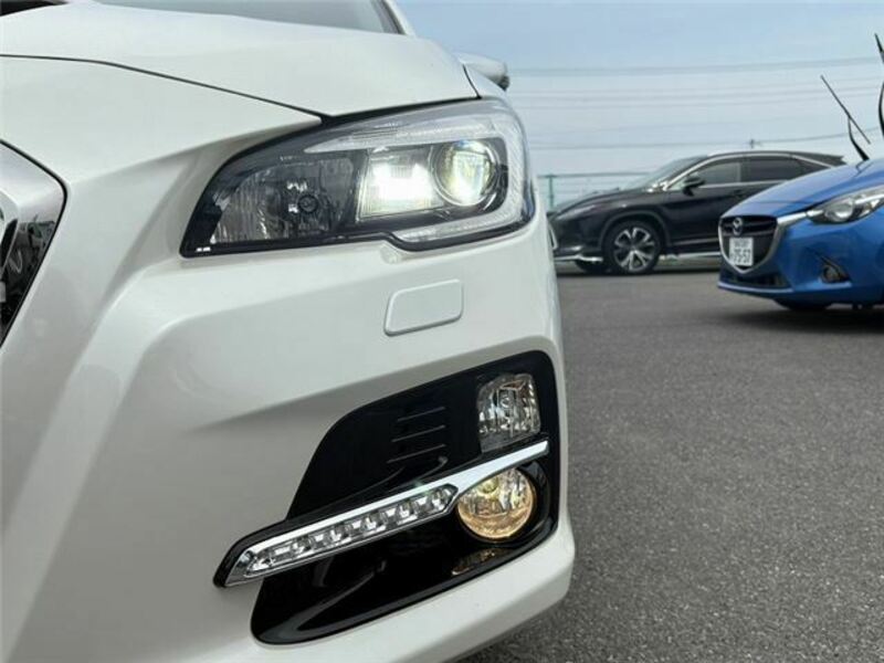 LEVORG