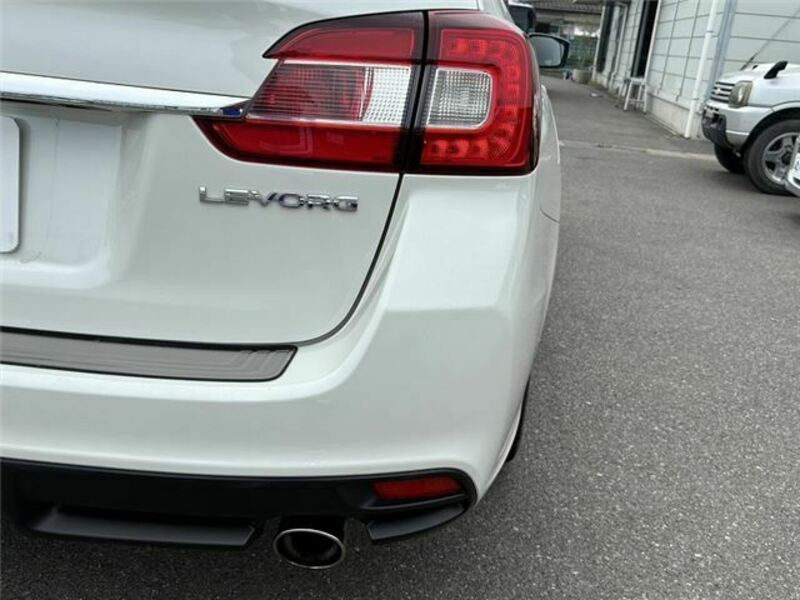 LEVORG