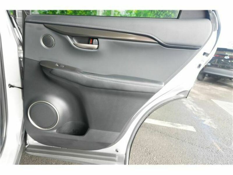 NX