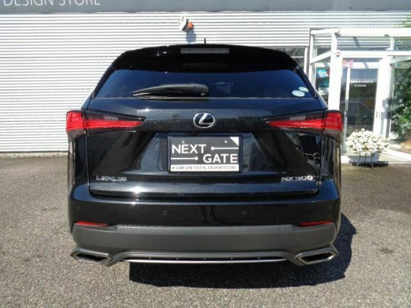NX