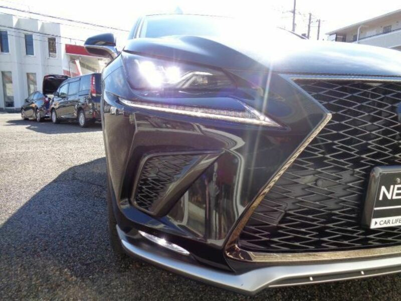 NX