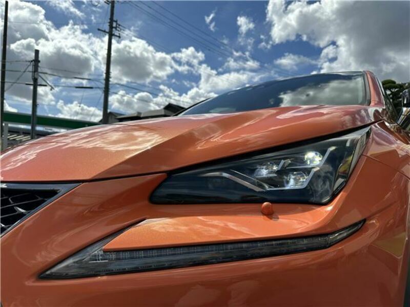 NX