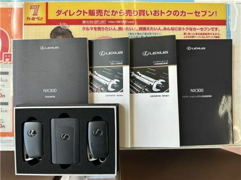 NX