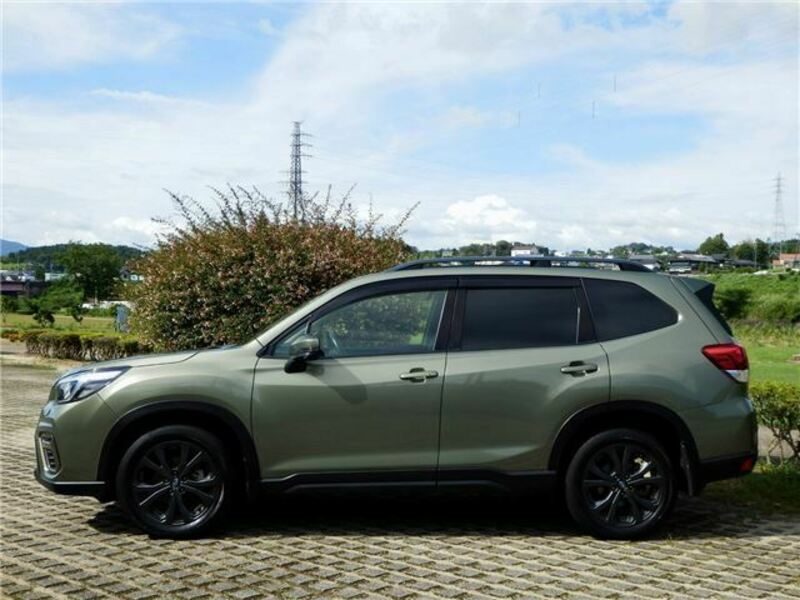 FORESTER