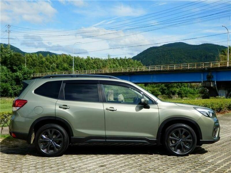 FORESTER