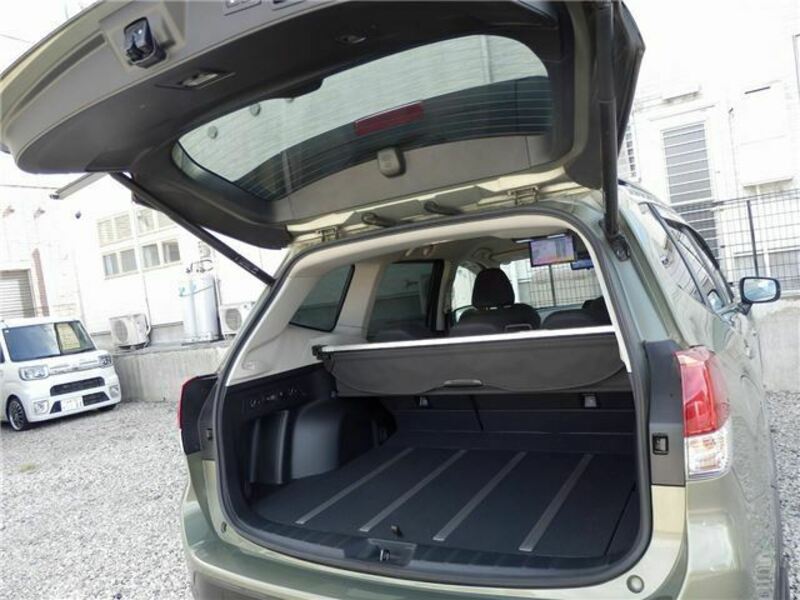 FORESTER