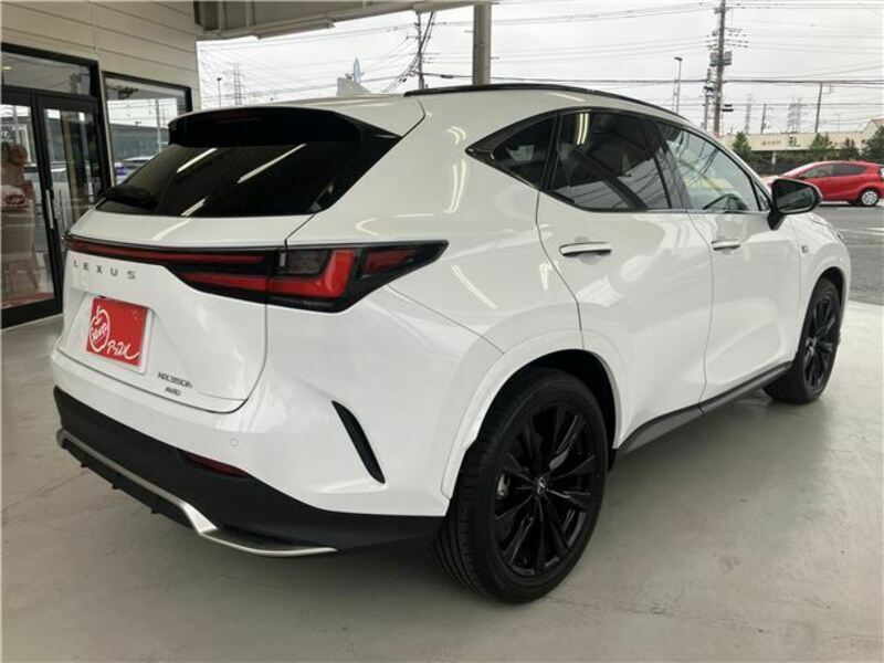 NX