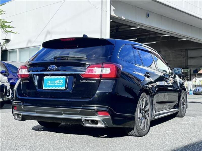 LEVORG