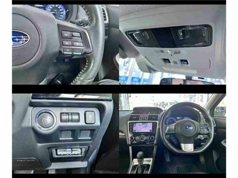 LEVORG