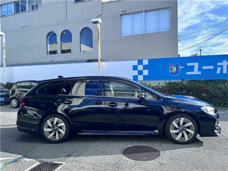 LEVORG