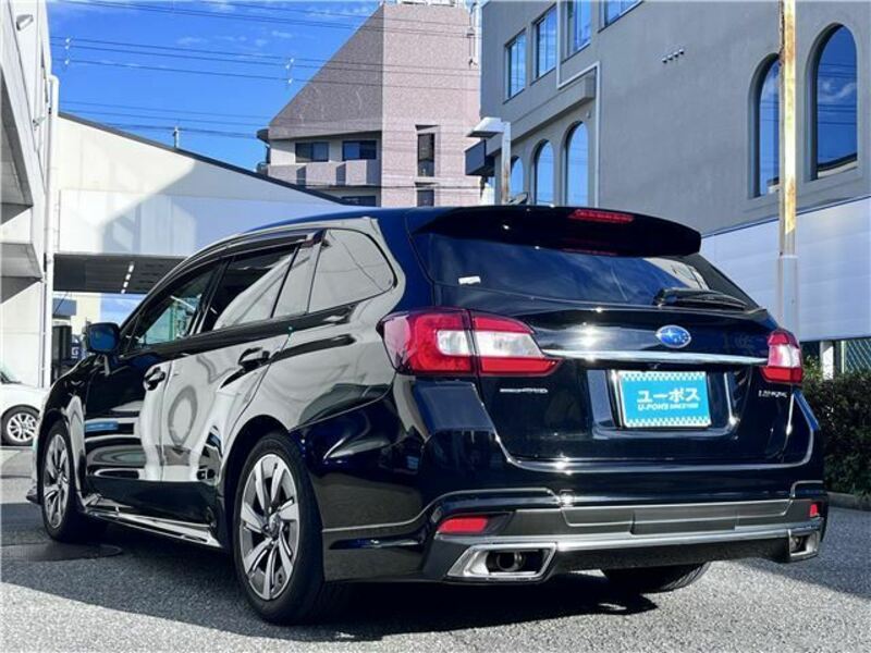 LEVORG