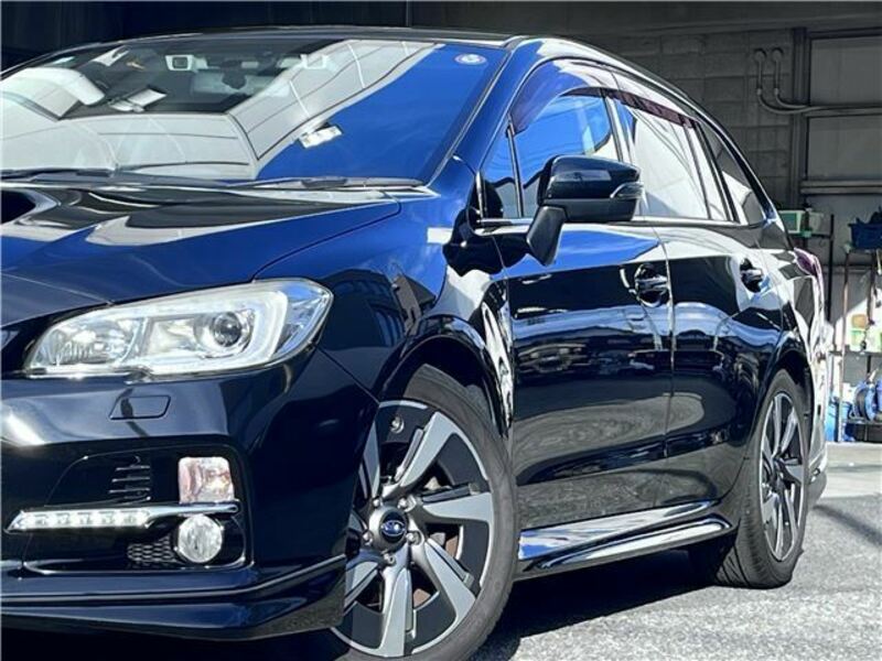 LEVORG
