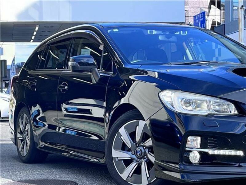 LEVORG