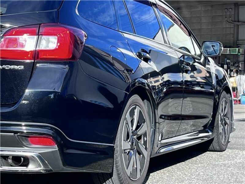 LEVORG