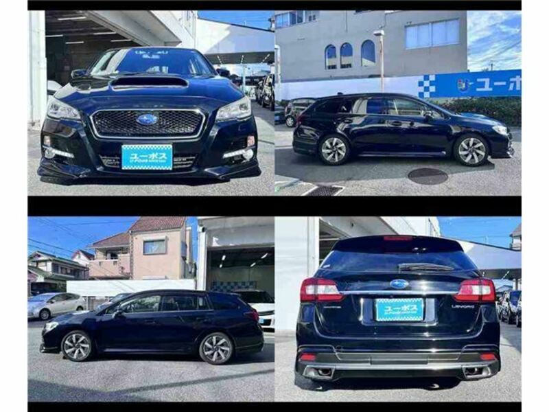 LEVORG