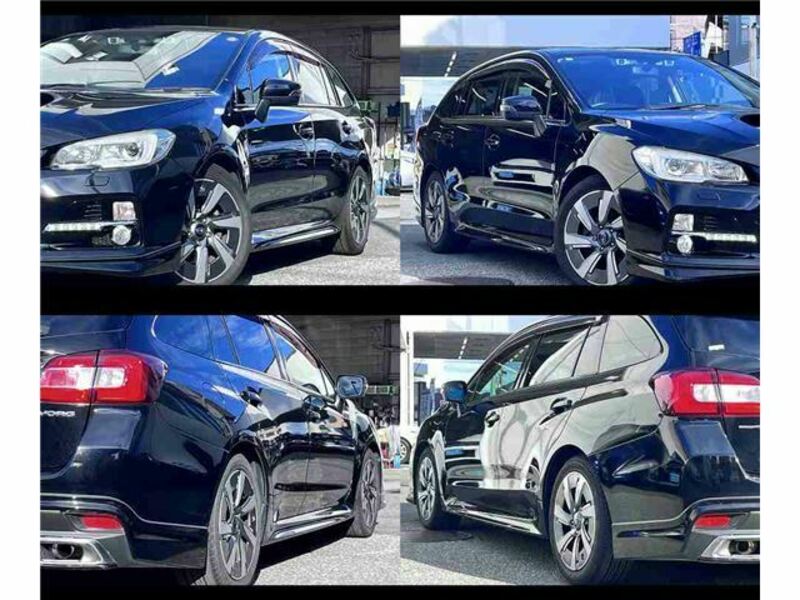 LEVORG