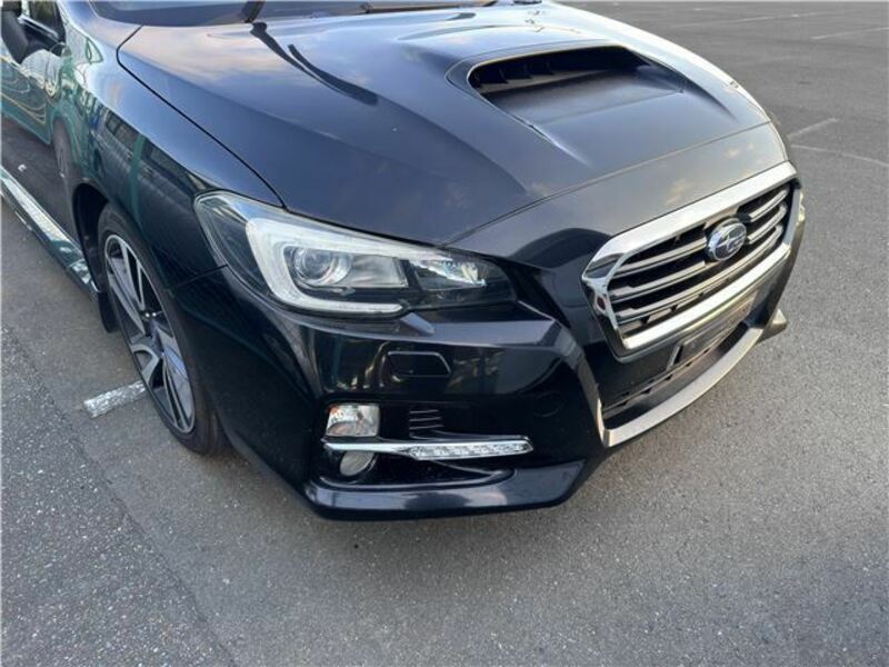 LEVORG