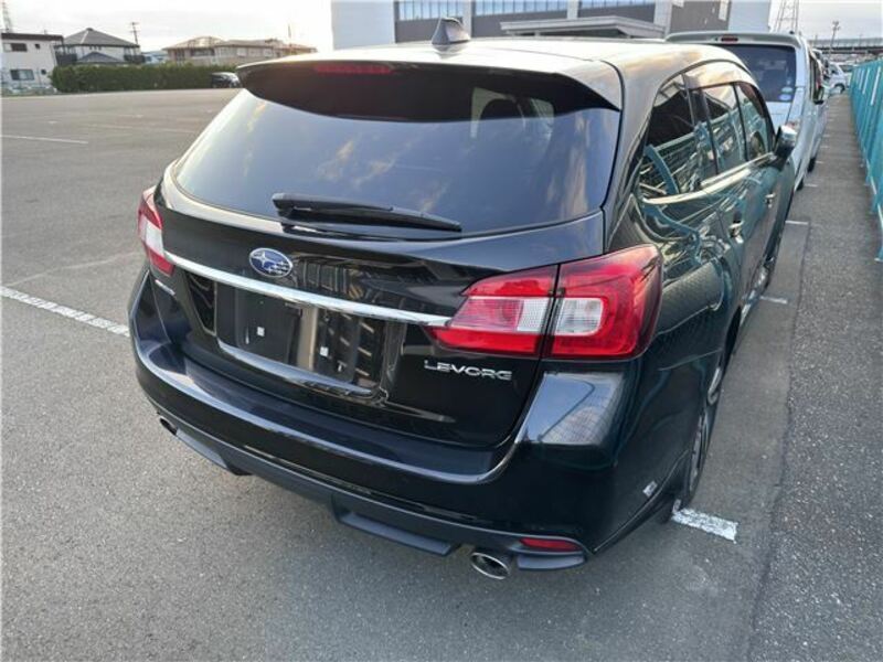 LEVORG