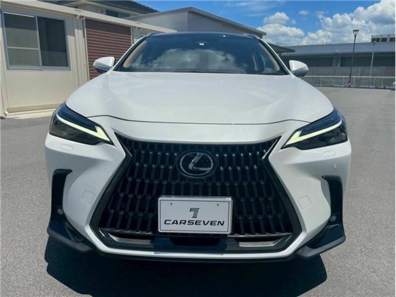 NX