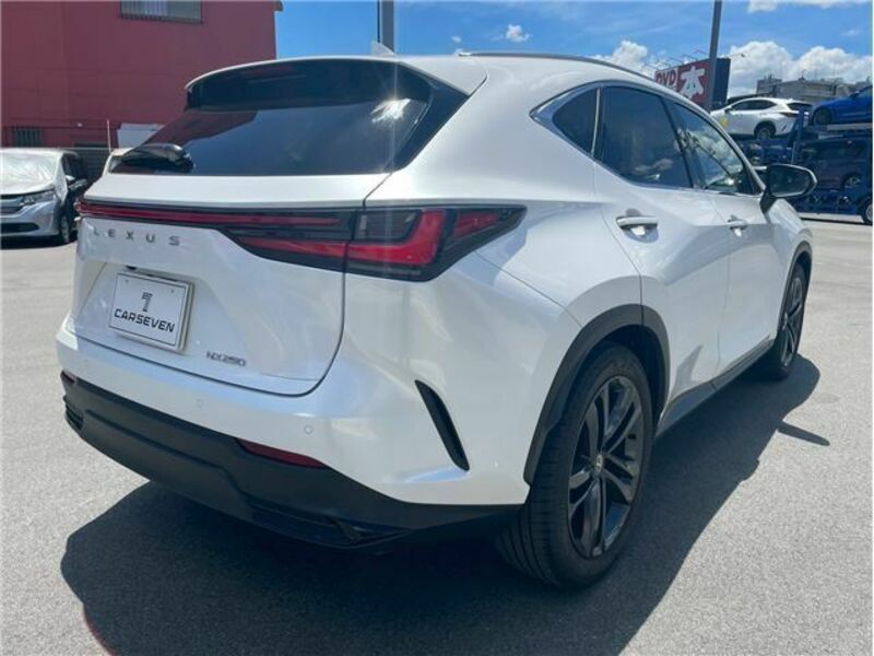 NX